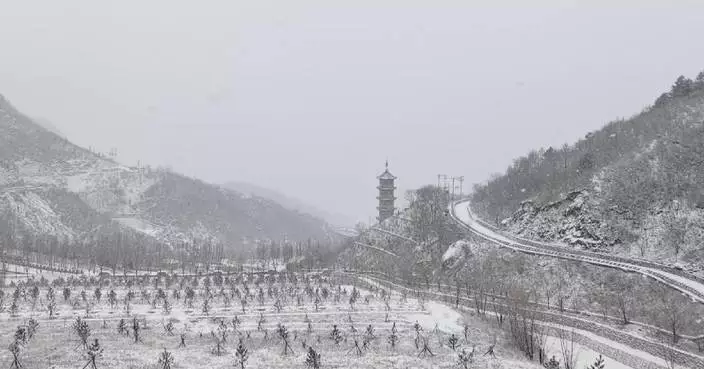 Heavy snow hits Beijing