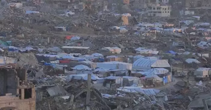 List of members of Gaza Board of Peace criticized by Israel, Palestine