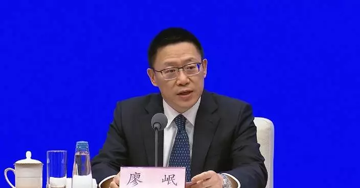 Full play given to role of proactive fiscal policies in promoting high-quality development in 2025: vice minister