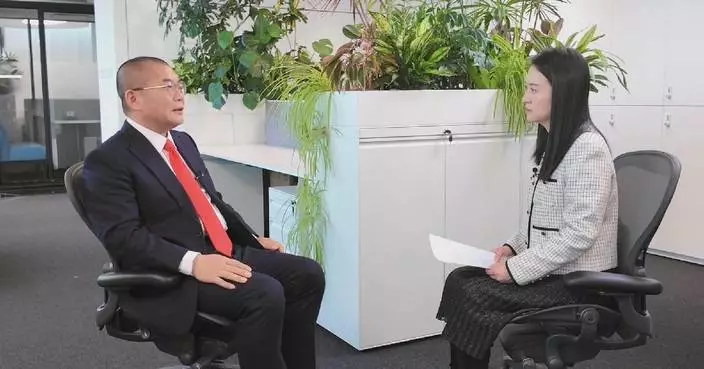 Legal expert shares insights on implications of Wingtech-Nexperia control dispute