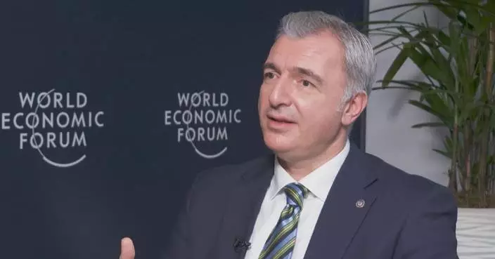 Moldova to skillfully address geopolitical tensions: minister