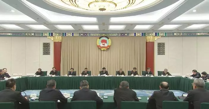 China’s top political advisor stresses boosting new five-year plan off to a good start