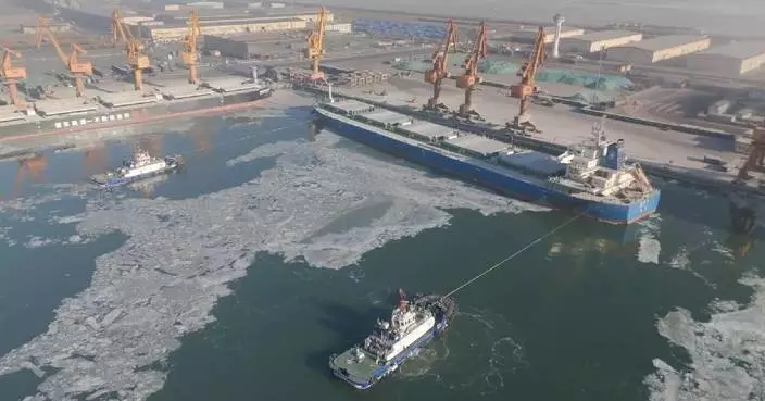 Sea ice covers over 40 pct of China’s Liaodong Bay amid cold wave