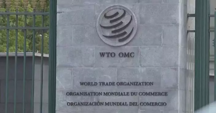 China to actively participate in WTO reform: vice commerce minister
