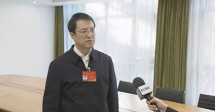 Chinese officials pledge to make solid efforts to implement 15th Five-Year Plan