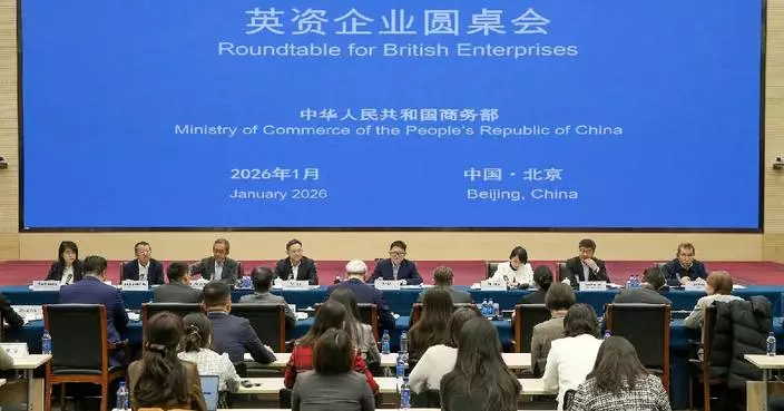 China's commerce ministry hosts roundtable for British enterprises