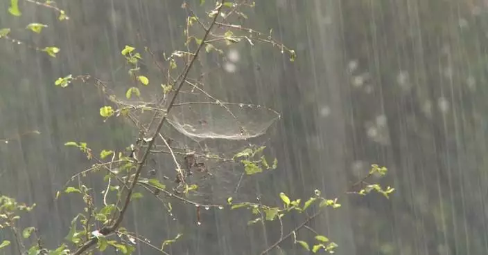 Zimbabwe intensifies relief operations as floods kill over 80, destroy homes