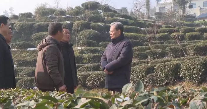 Top legislator makes investigation, research tour in central China’s Hubei