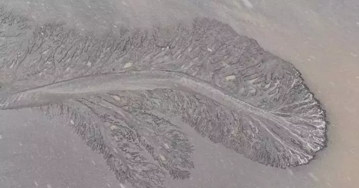 Stunning tidal tree landscape captured on east China river amid snow