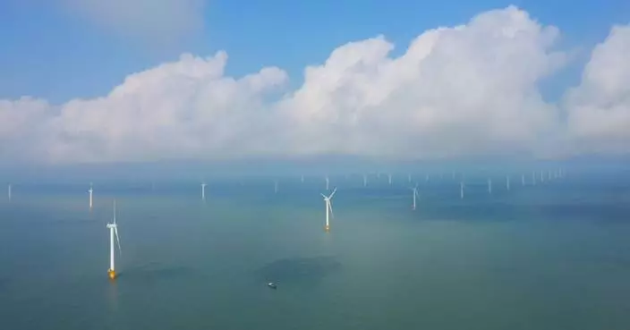 China's wind power generation hits new high in 2025