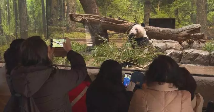 Crowds bid farewell to Japan’s last pandas