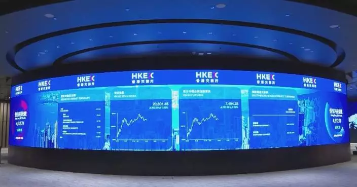 Global long-term investors vie for Chinese firms’ cornerstone stakes
