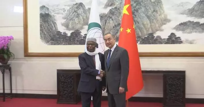 Chinese FM holds talks with OIC secretary-general