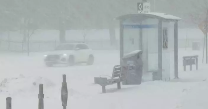 Snowstorm hit parts of Canada, triggering power outage, disrupting flights