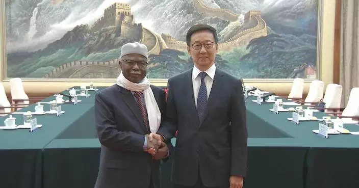 Chinese vice president meets OIC secretary-general