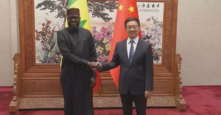 Chinese vice president meets with president of Senegalese National Assembly