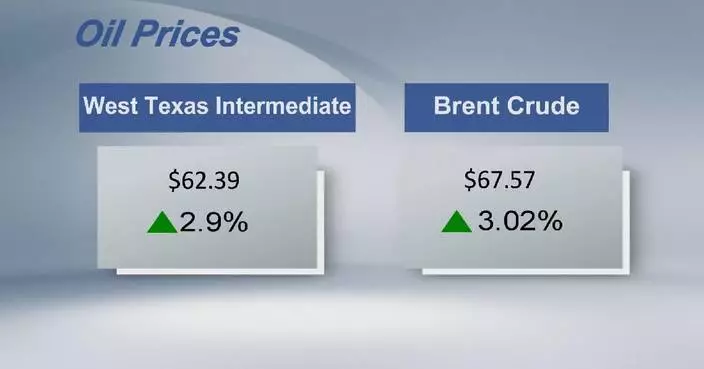 Crude futures settle higher