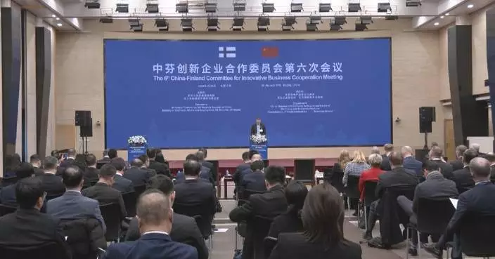 Finnish business leaders hail Chinese market as key growth engine