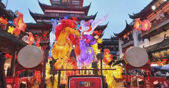 Traditional crafts, lanterns light up Chinese New Year festivities nationwide
