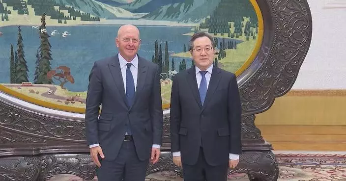 Chinese vice premier meets Goldman Sachs CEO