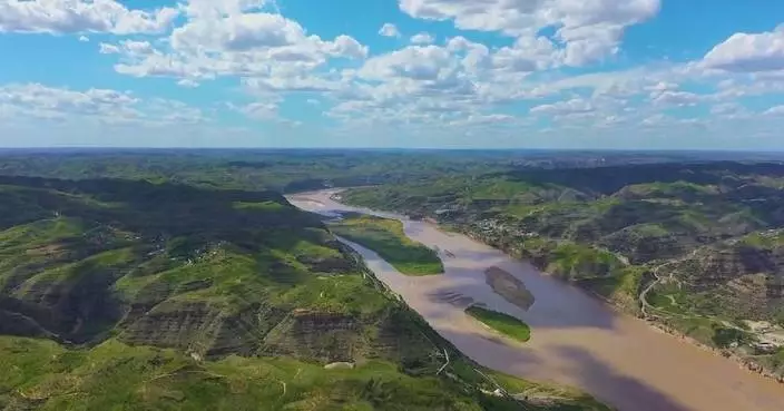 China sees sustained improvement in ecological conditions in key regions