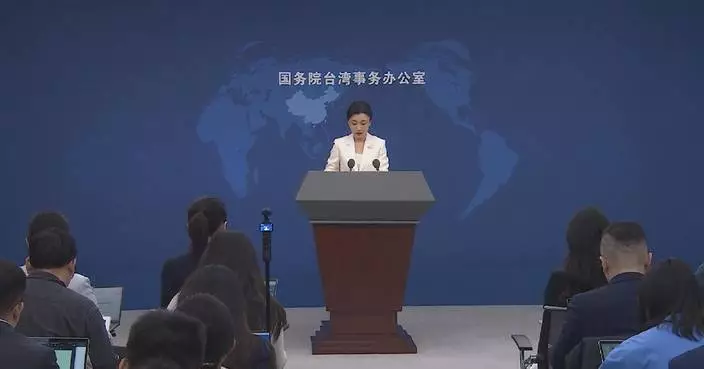 DPP politicians' remarks expose servile, traitorous nature: spokeswoman