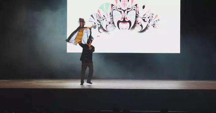 Chinese puppet show staged in Chile in celebration of Year of Horse