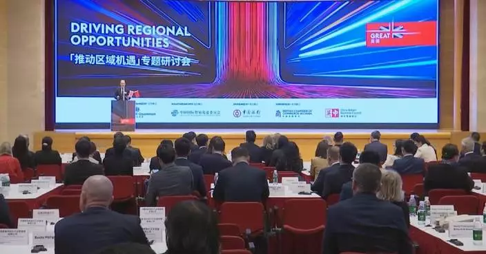 Chinese, British companies see great potential for cooperation in various sectors