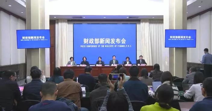 Hainan's special customs operations boost trade, industrial development: official