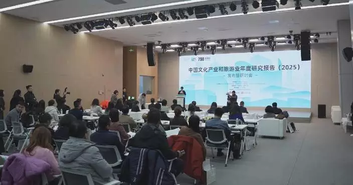 China’s domestic tourism hits record 6.52 billion trips in 2025