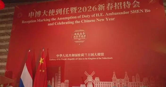 Chinese Embassy in the Netherlands hosts reception to celebrate upcoming Spring Festival
