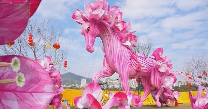 Xiamen decorated with lanterns, horse statues for upcoming Spring Festival
