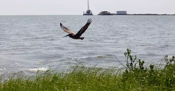 Record $9.6 million fine for Third Coast after substantial oil spill in the Gulf of Mexico