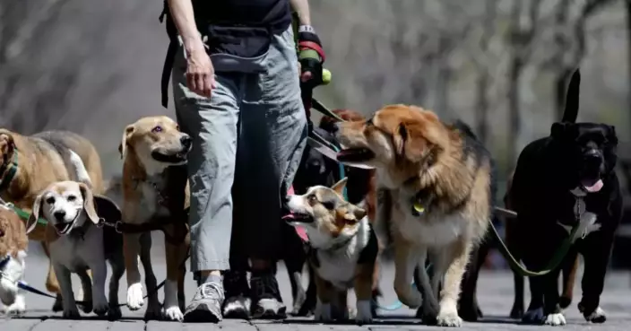 Why ordering takeout or calling the dog walker might lead to a happier relationship
