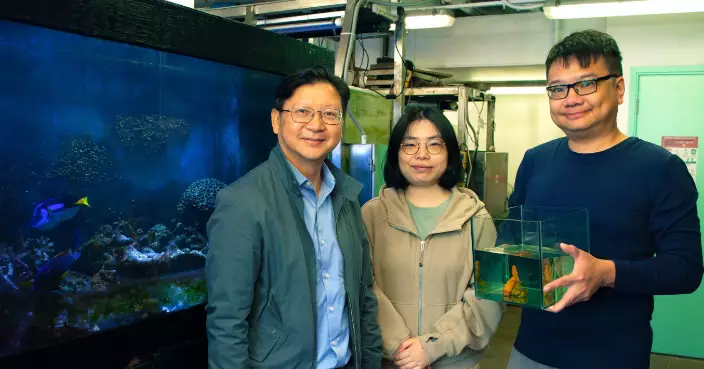 HKBU Discovers New Soft Coral Species in Hong Kong and Zhuhai Waters During Exploration of Greater Bay Area’s Marine Biodiversity