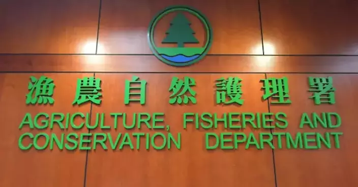 Hong Kong Launches Dog Vaccination Campaign at Fishing Ports to Combat Rabies