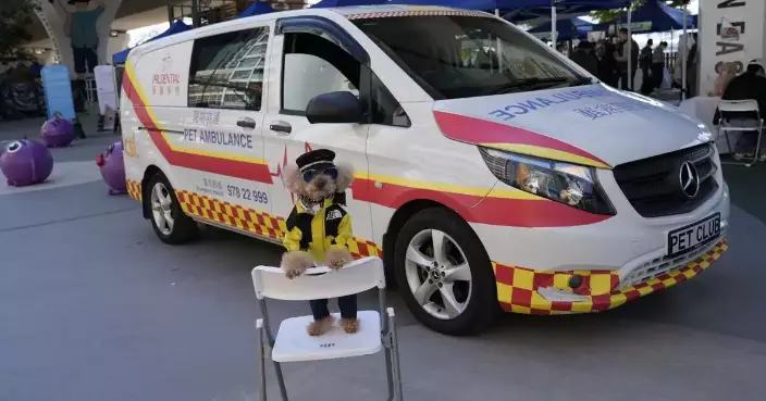 The 5th East Kowloon Animal Carnival was Successfully Held. Residents and Pets Joined Together to Promote Animal Protection, Drug Prevention, and Fraud Prevention