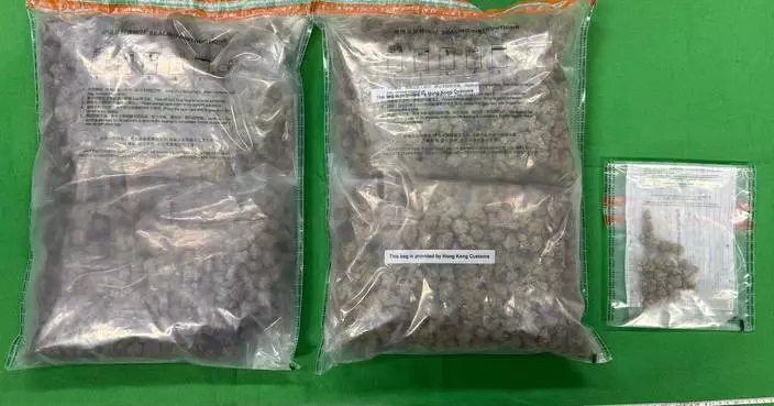 Hong Kong Customs Seizes 2.81 kg of Cannabis, Arrests Suspect in Fo Tan.
