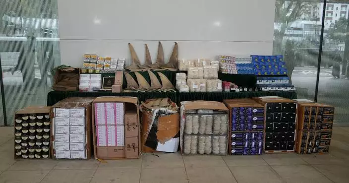 Hong Kong Customs Seizes $29 Million in Suspected Smuggling Cases Involving River Trade Vessels