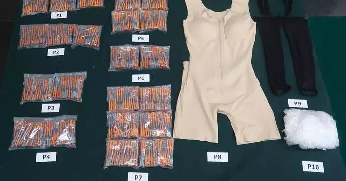 Customs Seizes $300,000 in Smuggled Pharmaceuticals; Passenger Sentenced to Six Months Imprisonment.