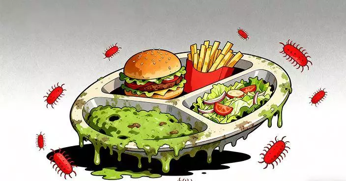 Health Authorities Investigate Food Poisoning Linked to School Lunches Affecting 39 Students in Two Primary Schools.