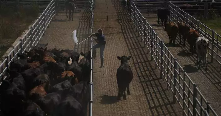 Forget tariff wars: The EU and Mercosur build one of the world’s biggest free-trade zones