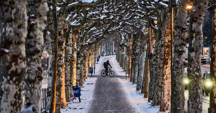 Snow and ice ground flights, choke highways in parts of Europe