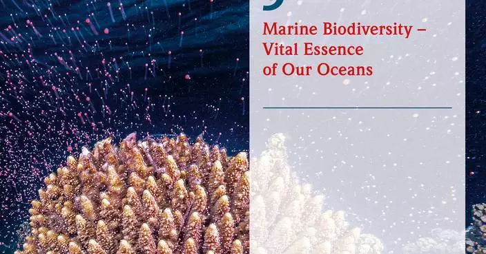 The new World Ocean Review: Explaining life in the ocean