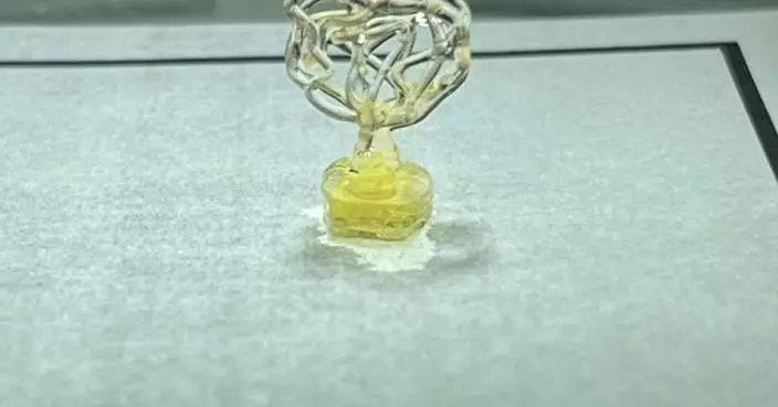 Starlab Space and Auxilium Biotechnologies to Advance Life Sciences Research in Microgravity