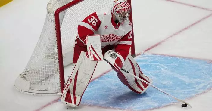 Gibson and Raymond power Red Wings to a 2-0 victory over the Avalanche