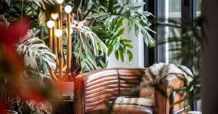 How to create a calming ‘nature nook’ with indoor plants. Advice from Hilton Carter