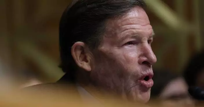 ICE officer training is ‘deficient’ and ‘broken,’ former agency lawyer tells congressional forum