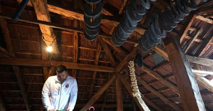 A traditional sausage in the shape of a horseshoe is 'ironed' for dryness in southeastern Serbia