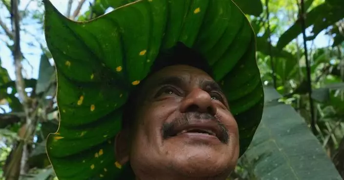 Seed guardians of the Amazon: A family’s solitary fight to save endangered plants